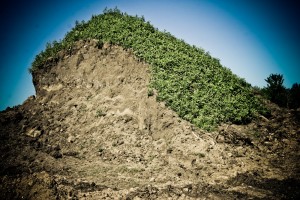Unscreened Top Soil